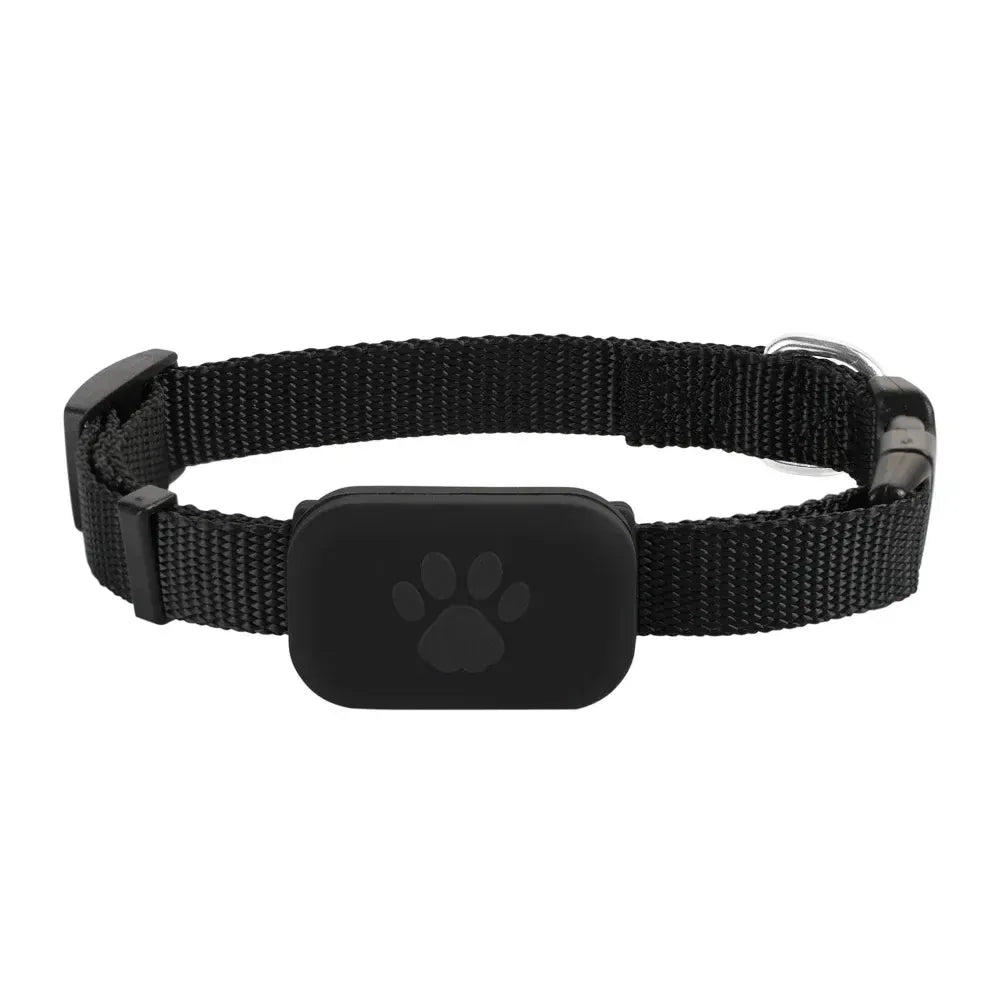 Pawko - PetLocator